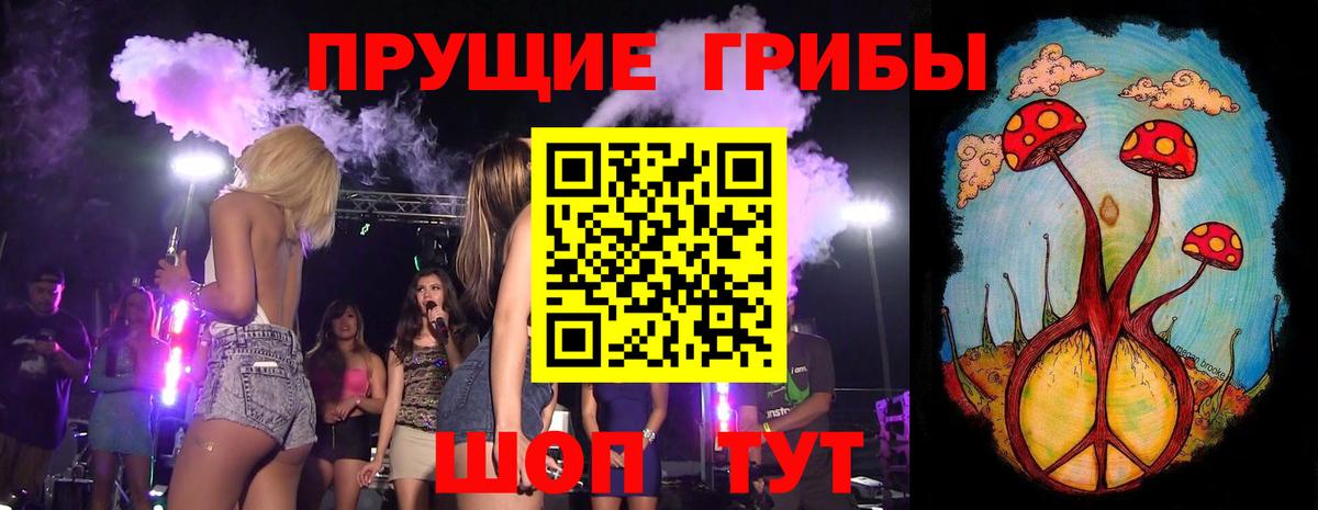Галлюциногенные грибы Cubensis  Вход с VPN  Сегежа 